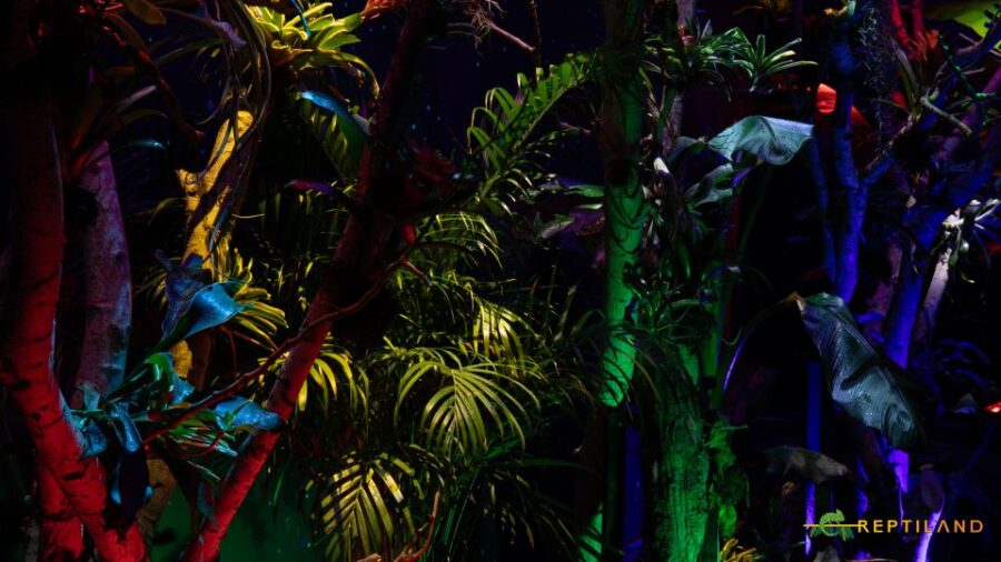 Bucharest: Reptiland Bucharest Entry Ticket - Ticket Information and Pricing