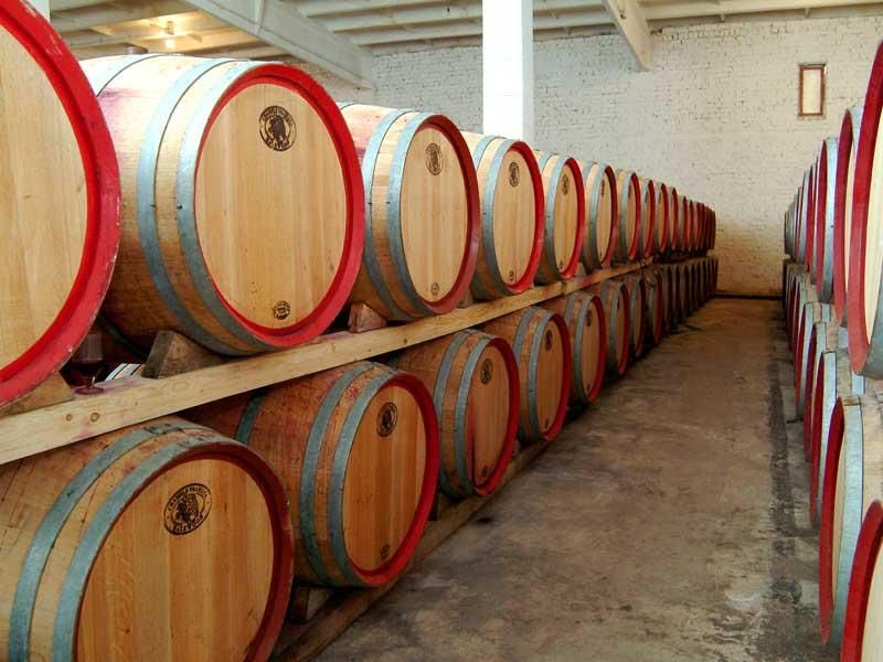 Bucharest: Slanic Salt Mines and Wine Tasting Tour
