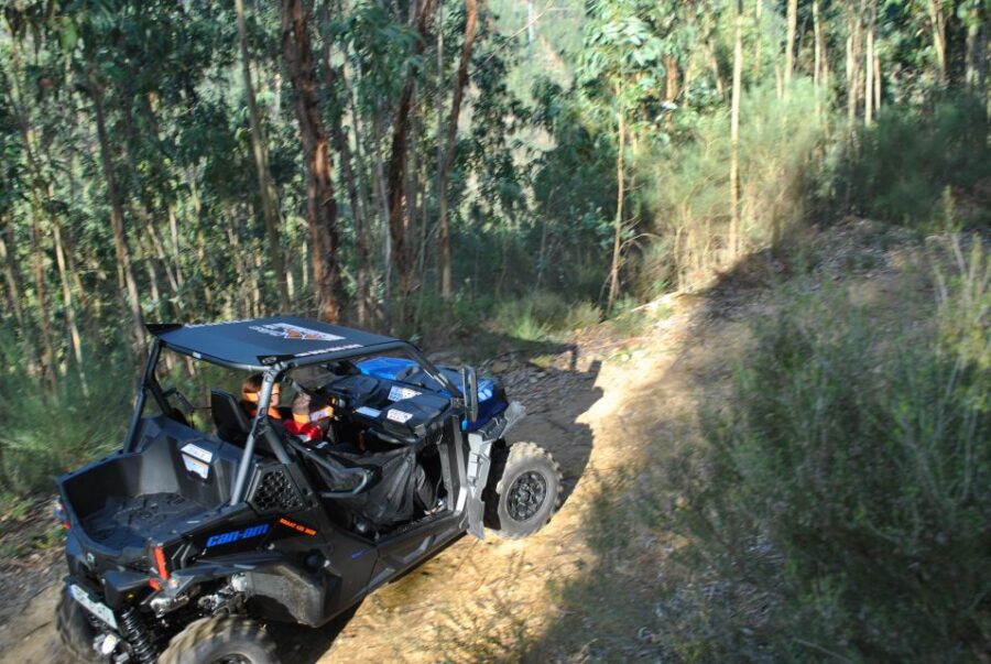 Buggy Experiences
