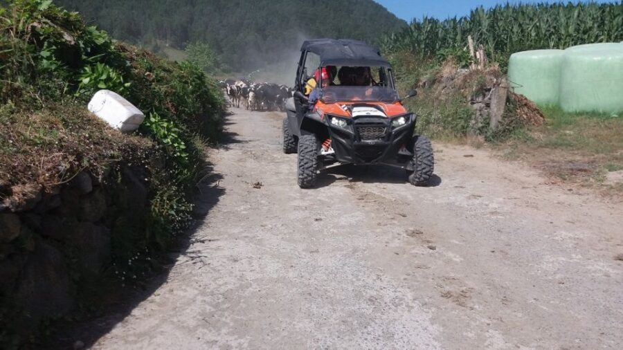 Buggy|Quad|Jeep Coast to Coast Tour (Ribeira Grande) off 4×4