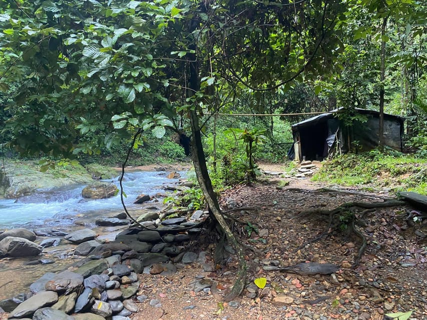 Bukit Lawang: 4-Day Orangutan Jungle Trekking Adventure