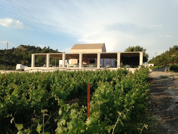 Butterflies Valley & Wine Tasting Experience Private Tour - Overview of the Tour