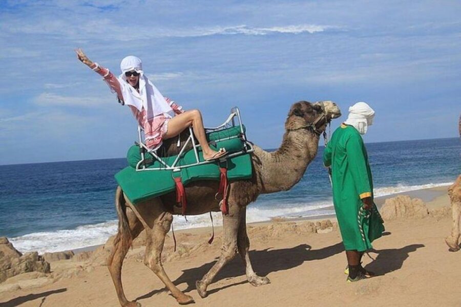 Cabo: Camel Ride On The Beach