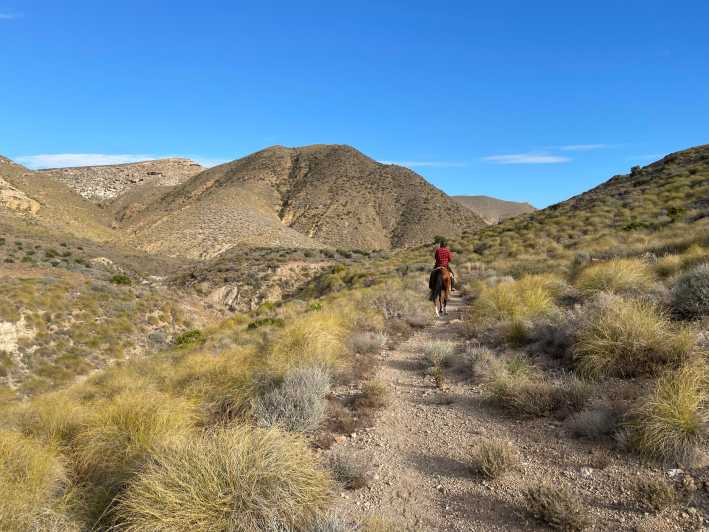 Cabo De Gata Natural Park: Horse Riding in Rodalquilar