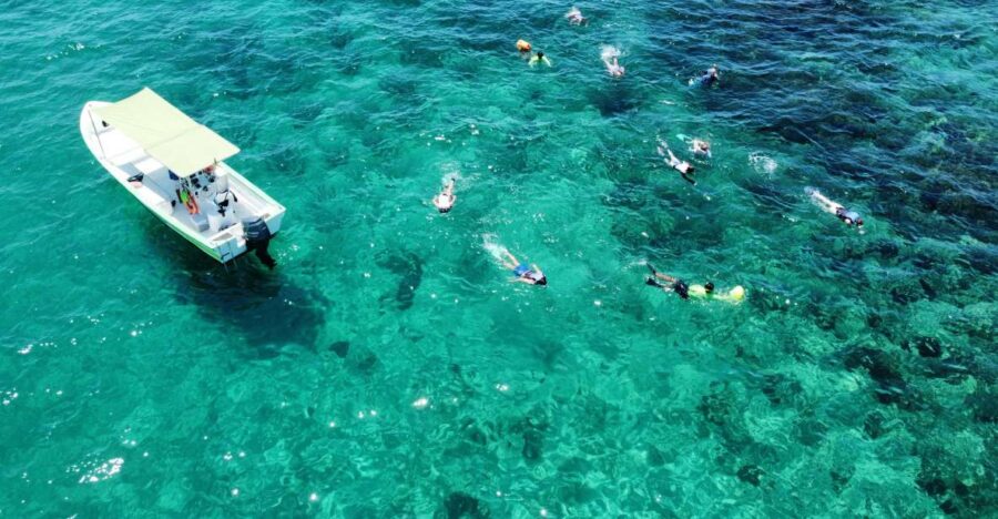 Cabo San Lucas: Boat Ride and Snorkeling Trip With Snacks