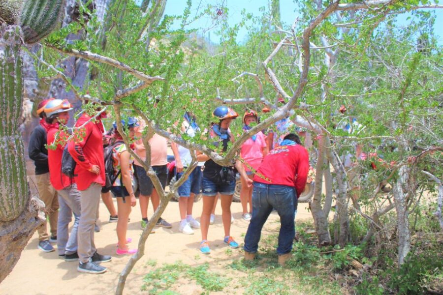 Cabo San Lucas: Candelaria RAZOR Adventure