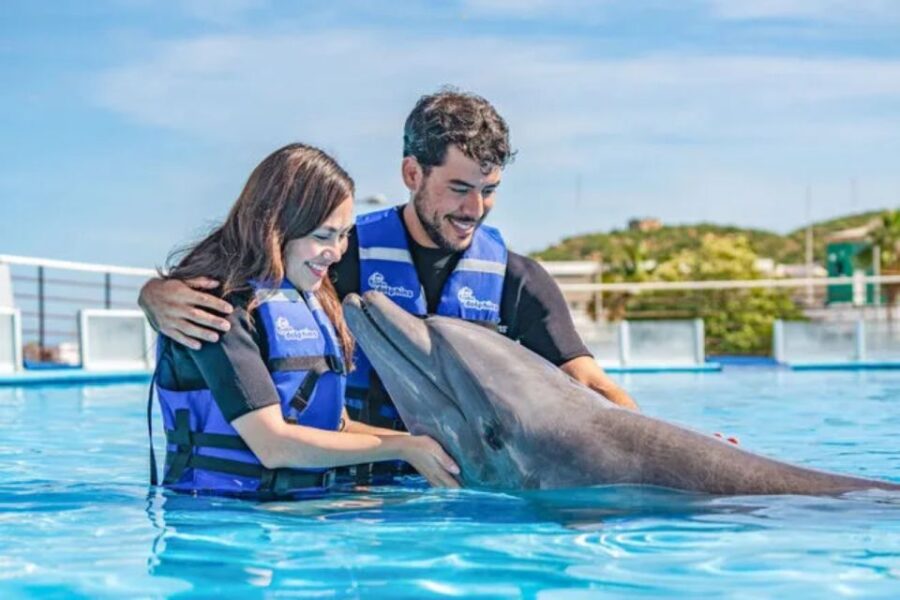 3 Best Dolphin Watching Tours In Cabo San Lucas