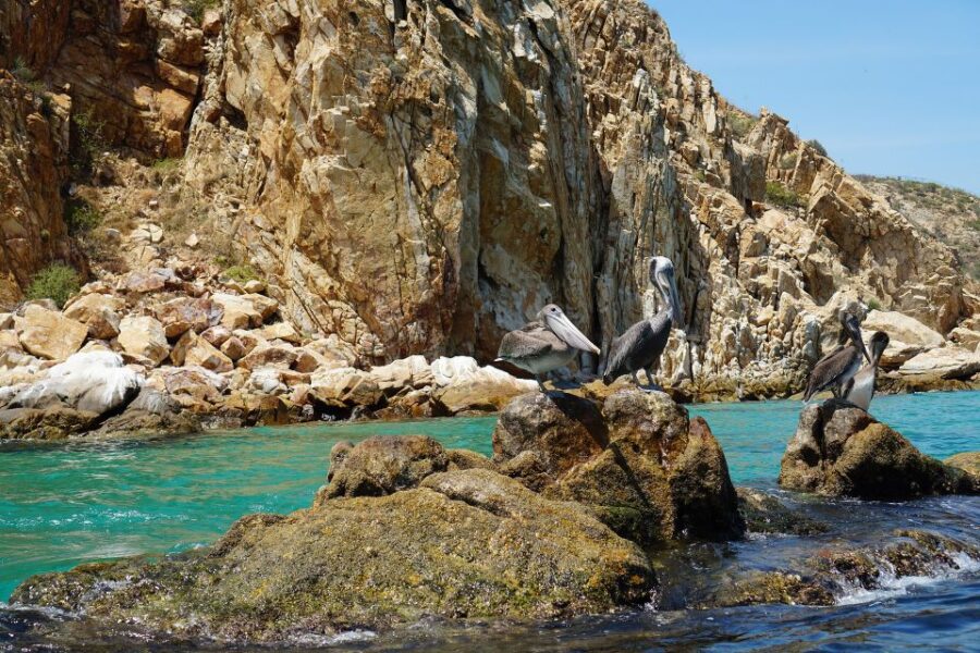 Cabo San Lucas: Glass-Bottom Boat Ride to End of the Earth