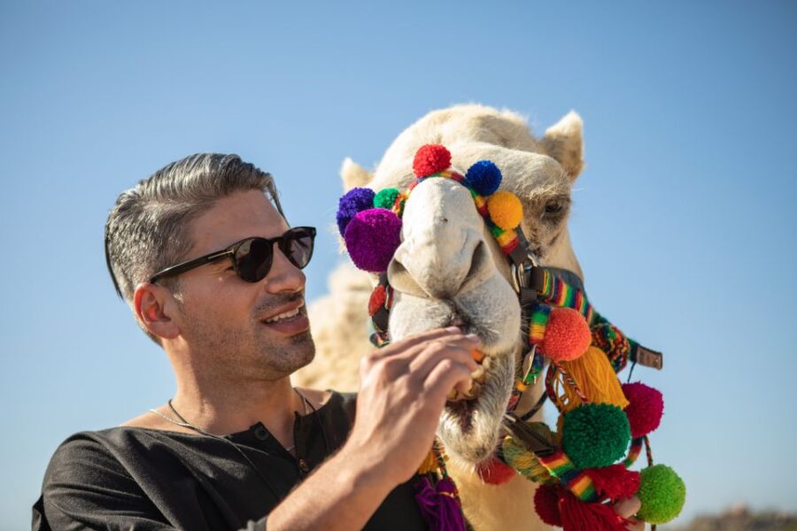 Cabo San Lucas: Half-day Guided Camel Safari Tour - Tour Overview and Details