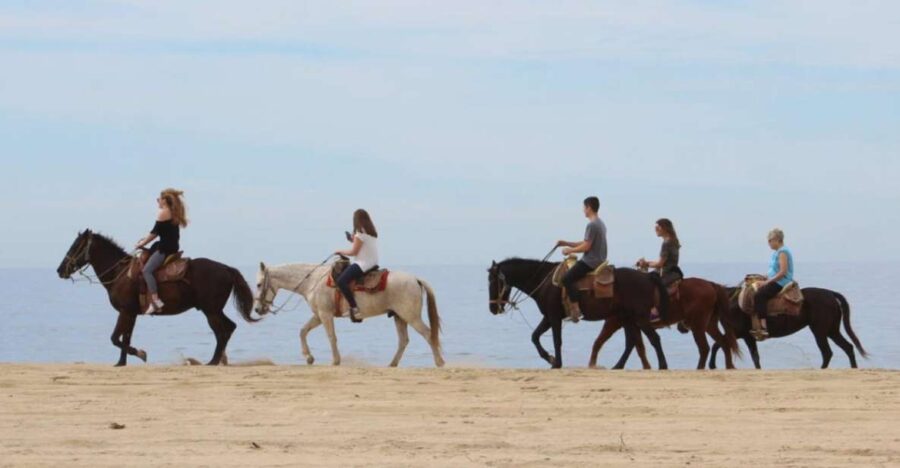 Cabo San Lucas: Horseback Riding Adventure