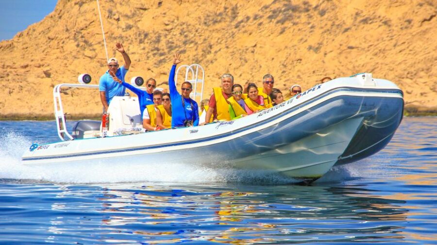 Cabo San Lucas: Snorkel, Paddle-Board, And/Or Kayak Tour