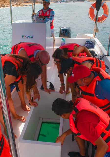 Cabo San Lucas: Tour to the Arch + Descent to a Private Beach