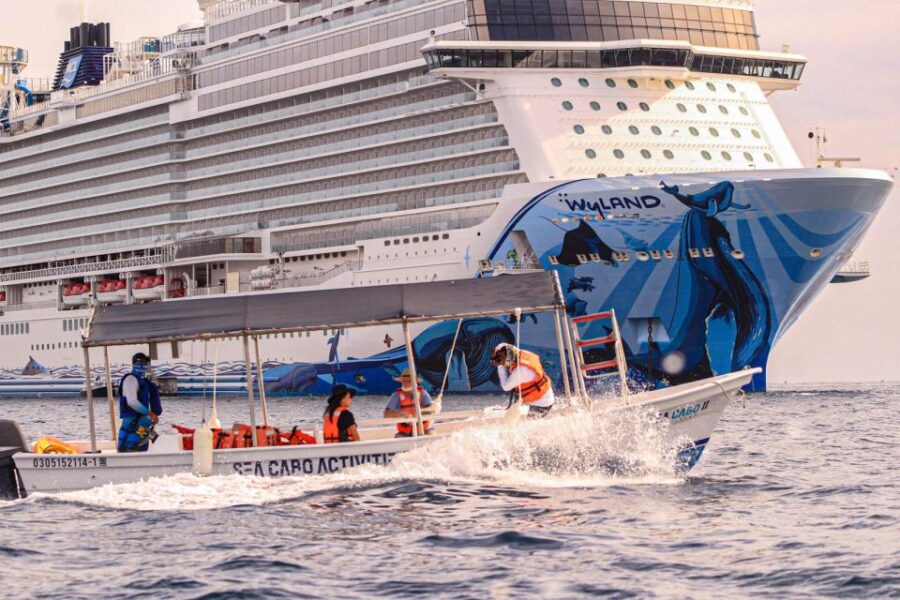 Cabo San Lucas: Tour to the Arch on a Glass Bottom Boat