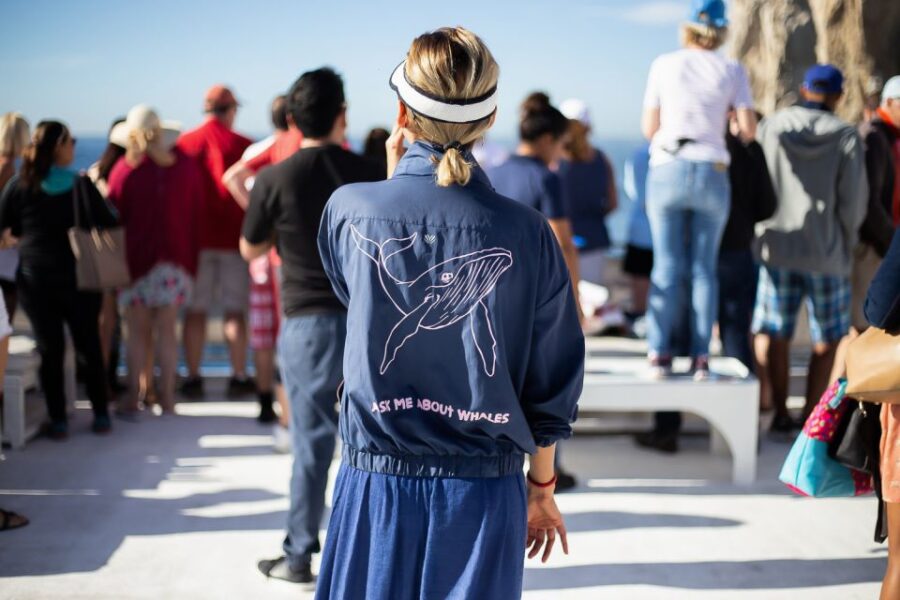 Cabo San Lucas: Whale Watching Breakfast Cruise