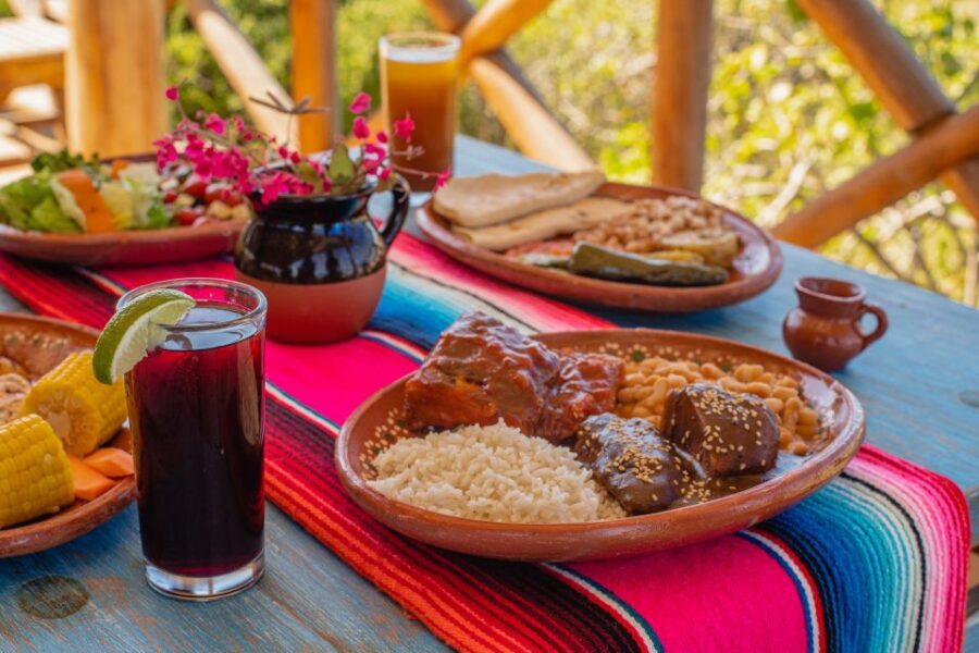 2 Best Lunch Experiences in San Jose Del Cabo