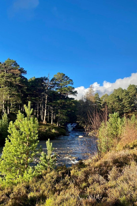 Cairngorms National Park: Mar Lodge Estate Guided Tour