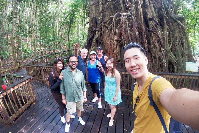 Cairns 4WD Rainforest Waterfall Tour Including a GBR Island Tour