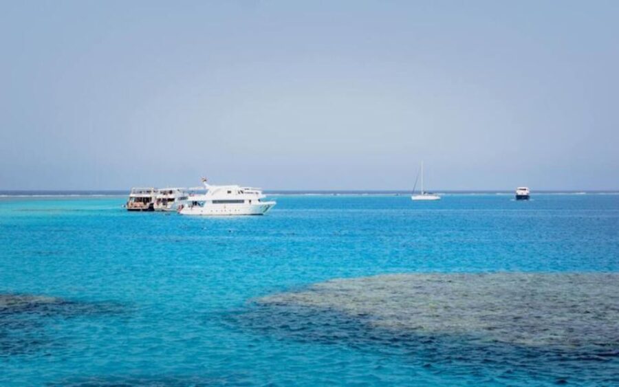 Cairo : Day Trip at the Red Sea at Stella Di Mare