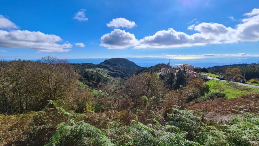 Camacha: Levada Trail E-Bike Guided Tour - Tour Overview
