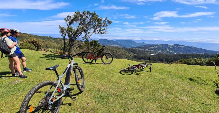 Camacha: Levada Trail E-Bike Guided Tour - Tour Overview