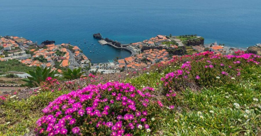 Câmara De Lobos: Private Fishing Village Tour by Tuk-Tuk - Tour Overview