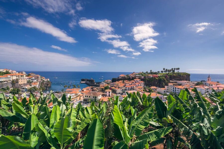 3 Best Fishing Tours In Madeira