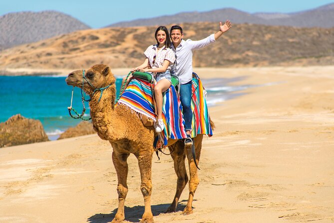 Camel Riding Experience on the Shores of the Pacific Ocean