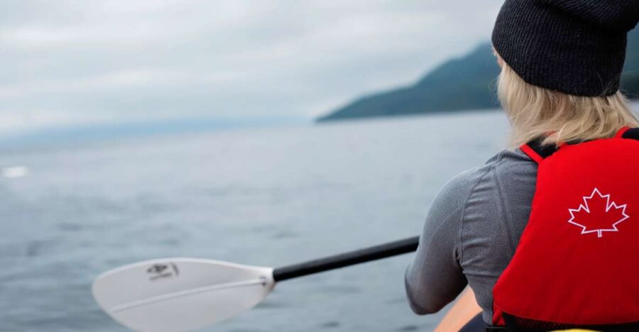 Campbell River: Kayaking and Whale Watching Tour