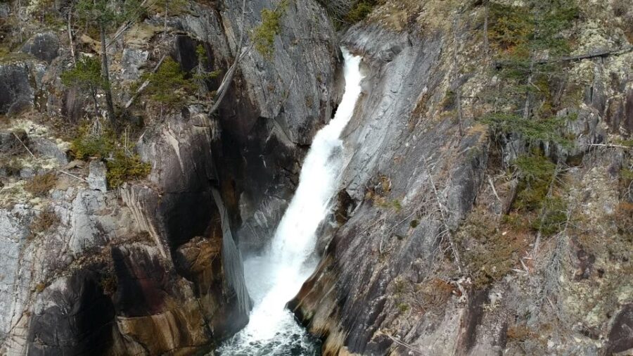 Campbell River: Waterfall and Wildlife Guided Boat Tour