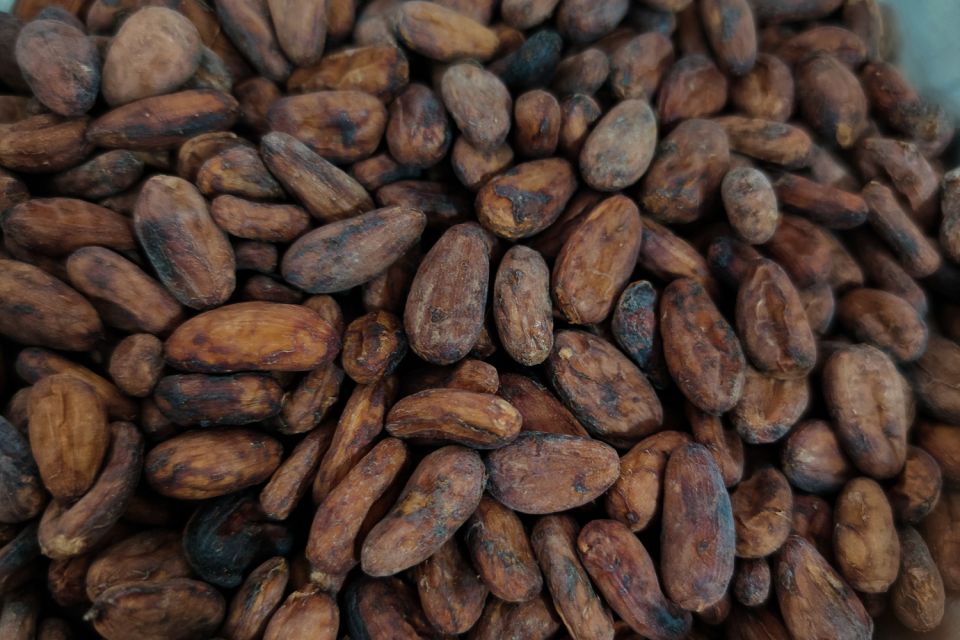Cancún: Chocolate Making Class and Tasting With Chef