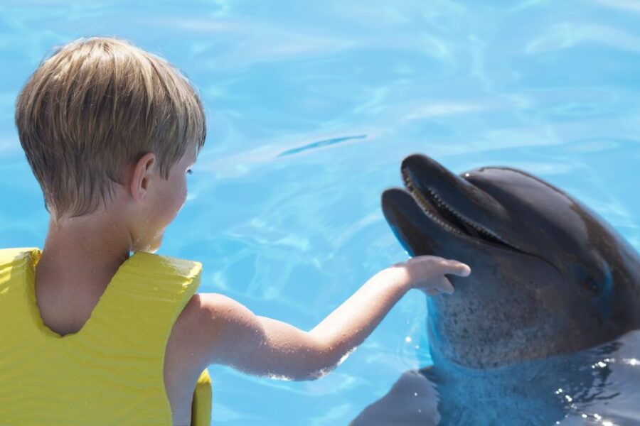 Cancun: Dolphin, ATV, & Zipline Adventure 2-Day Combo Tour