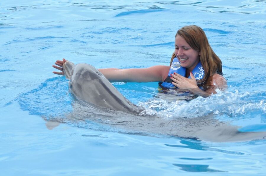 Cancún: Dolphin Swimming Program on Isla Mujeres With Buffet - Overview of the Program