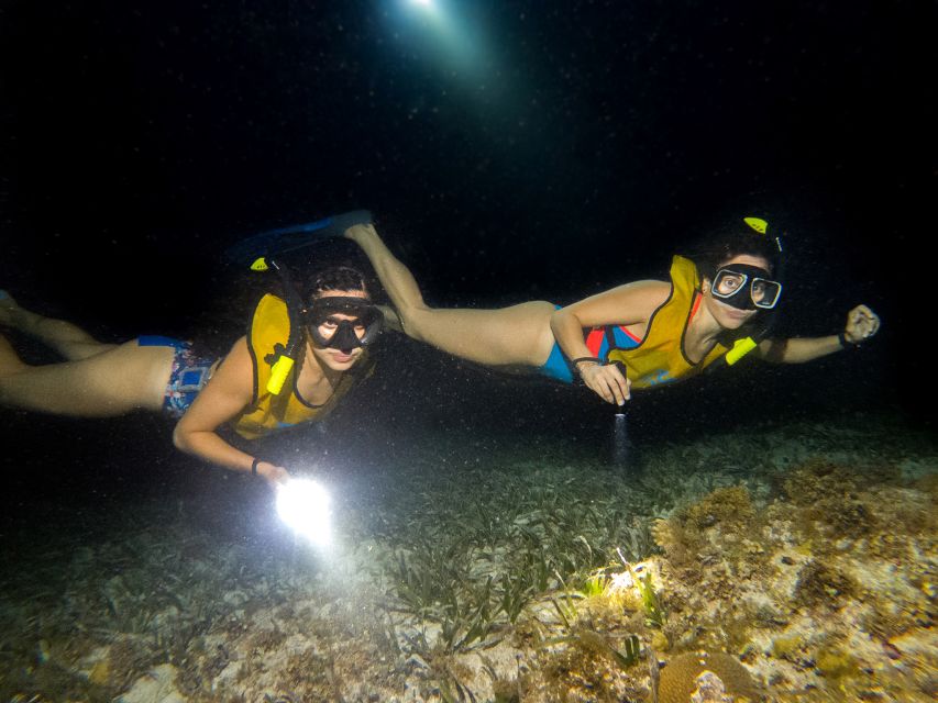 Cancun: Moonlight Snorkeling Tour With Transfer