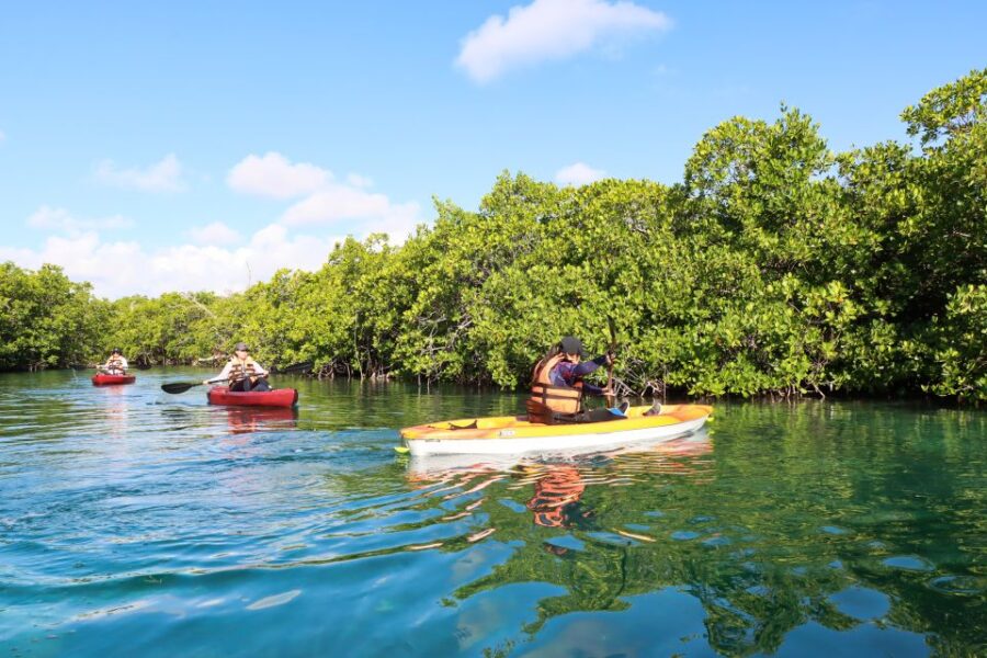Cancun: Morning Kayak Adventure