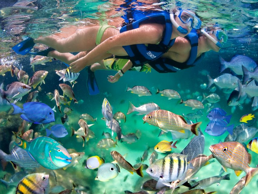 Cancun & Riviera Maya: Combo Xel-Ha & Xplor With Transport