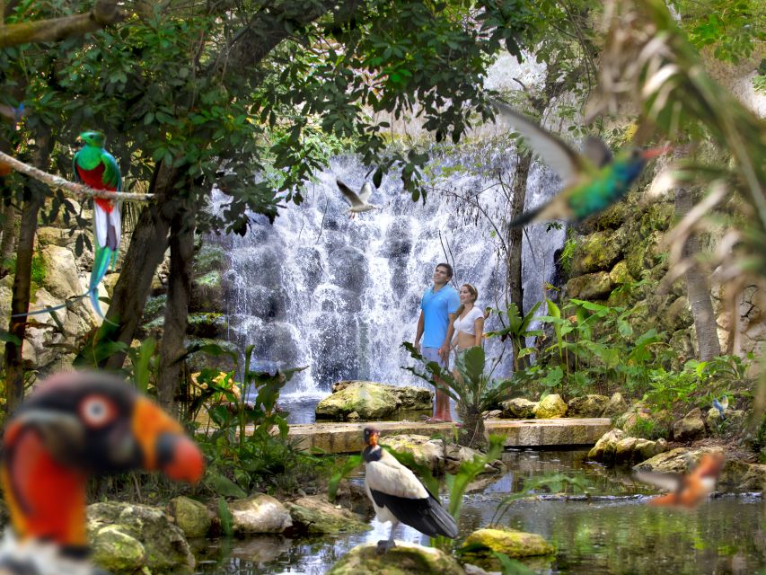 Cancun & Riviera Maya: Xcaret & Xplor Parks With Transport