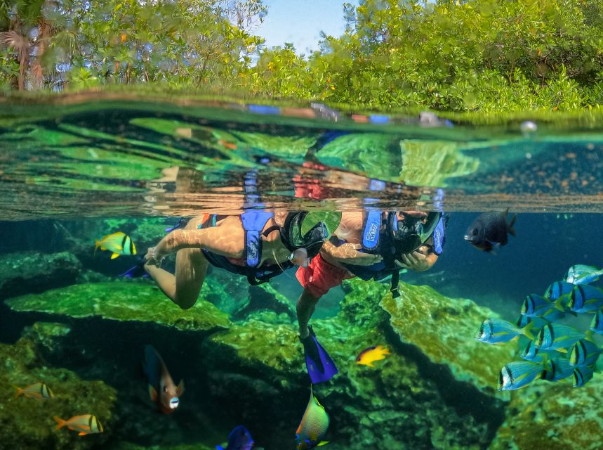 Cancun & Riviera Maya: Xel-Há All-Inclusive & Transportation