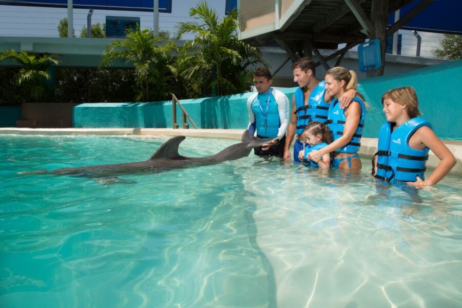 Cancún: Swim With Dolphins at Interactive Aquarium Cancún