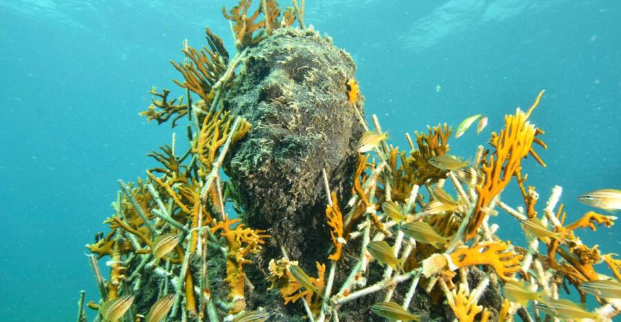 Cancún: Underwater Museum & Reef for Certified Scuba Divers - Overview of the Experience