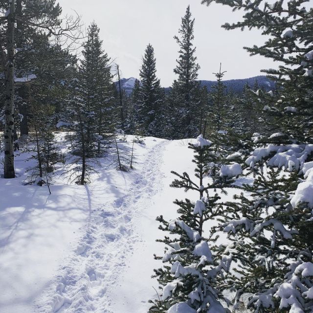 Canmore: Lost Towns and Untold Stories – Hiking Tour 3hrs