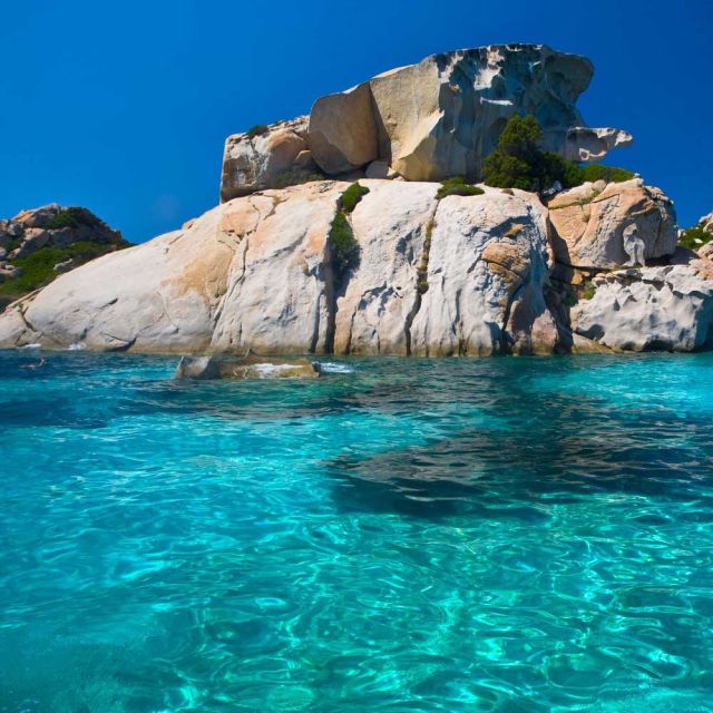 2 Best Scuba Diving Experiences In Cannigione