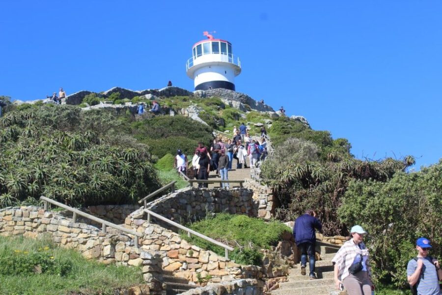 Cape of Good Hope & Penguins Private Tour