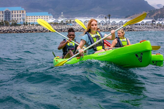 Cape Town Sea Kayaking Adventure Launching From V&A Waterfront
