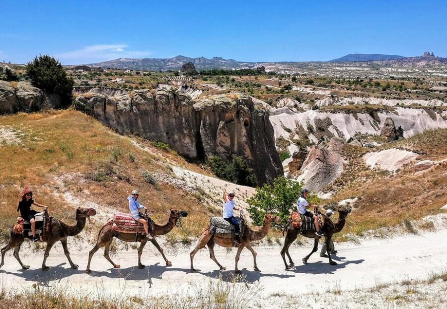 Cappadocia: Camel Safari
