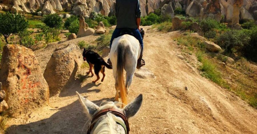 Cappadocia: Sunset Horseback Riding Tours W Fairy Chimneys