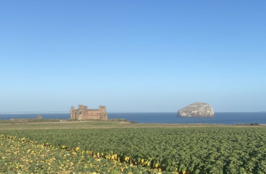 Castle and Coastline Electric Bike Tour North Berwick - Tour Overview