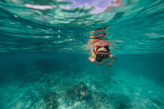 Catamaran and Snorkeling Cruise At Carlisle Bay