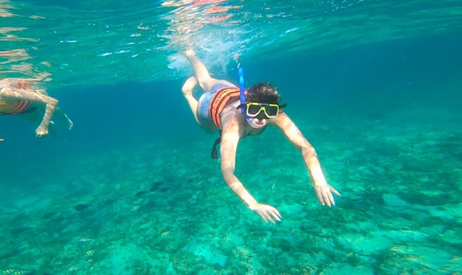 Catamaran to Isla Mujeres, Lunch, Open Bar & Snorkel