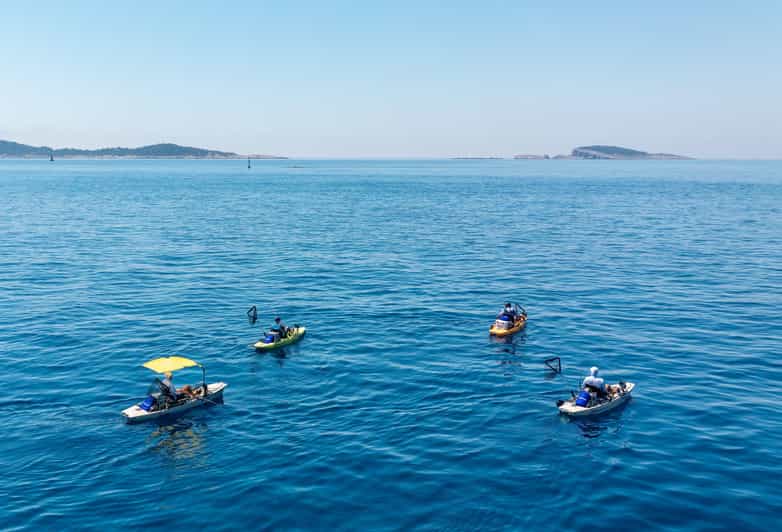 2 Best Fishing Tours In Cavtat