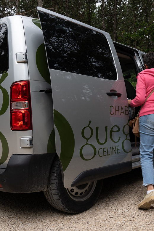 Chablis: Visit of the Grand Cru Vineyard